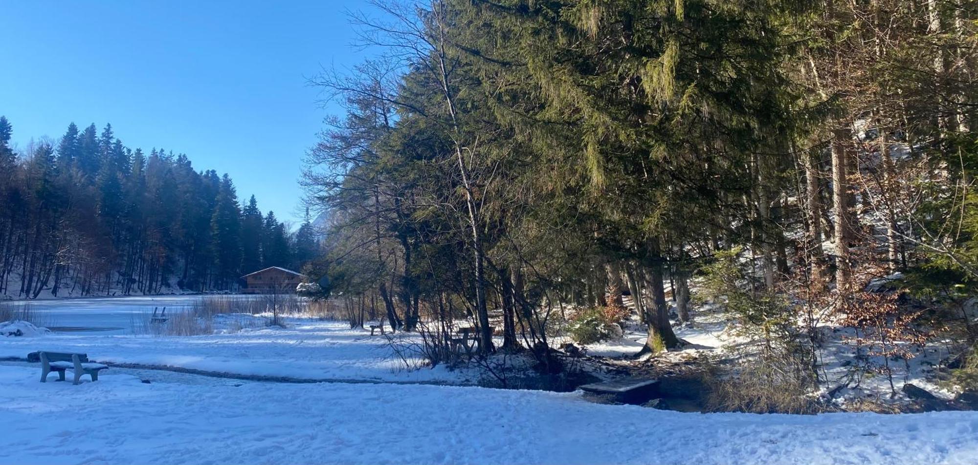 Haus Hislop Lejlighed Inneralpbach Eksteriør billede